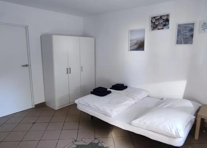 Brzozowa Oaza Mrzeżyno